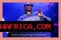 Is Snoop Dogg A Criminal? Uncovering The Truth Behind The Legend
